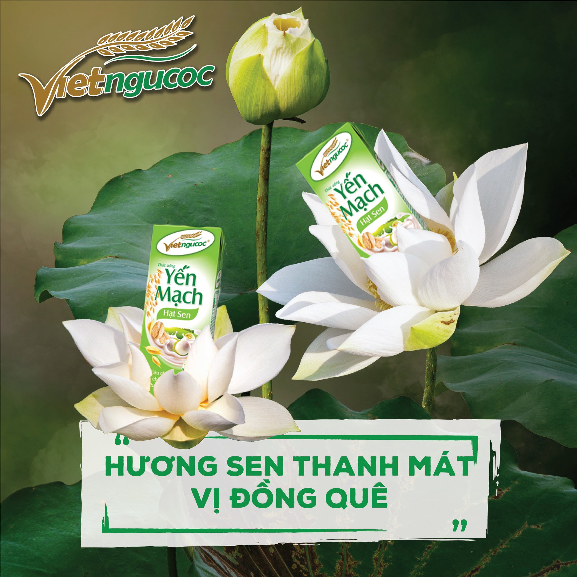 Sữa yến mạch hạt sen Việt Ngũ Cốc