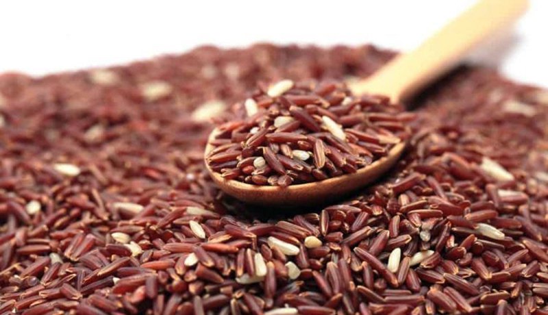 Ăn gạo lứt có giảm cân không