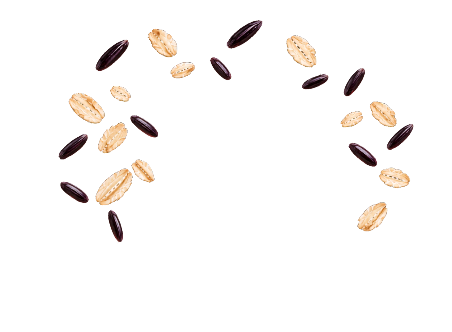 sữa chua nếp cẩm