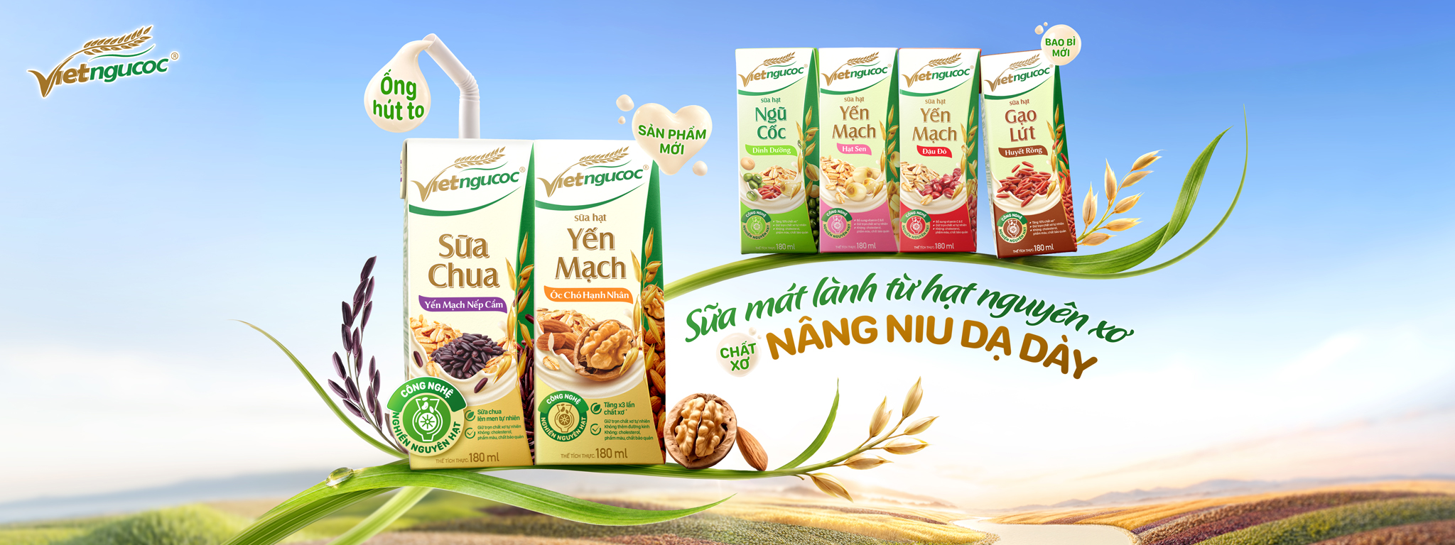 cover VNC