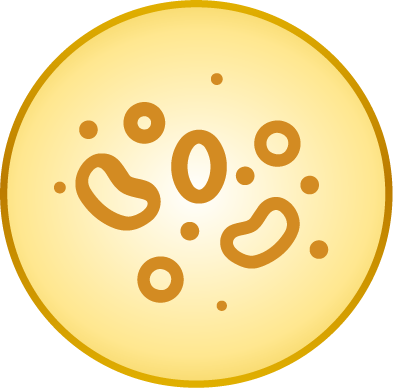 icon VNC đa dạng ngũ cốc
