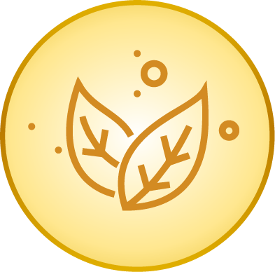 icon VNC hương vị tự nhiên